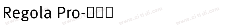 Regola Pro字体转换